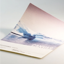 Impression sur canvas personnalisé 260 g