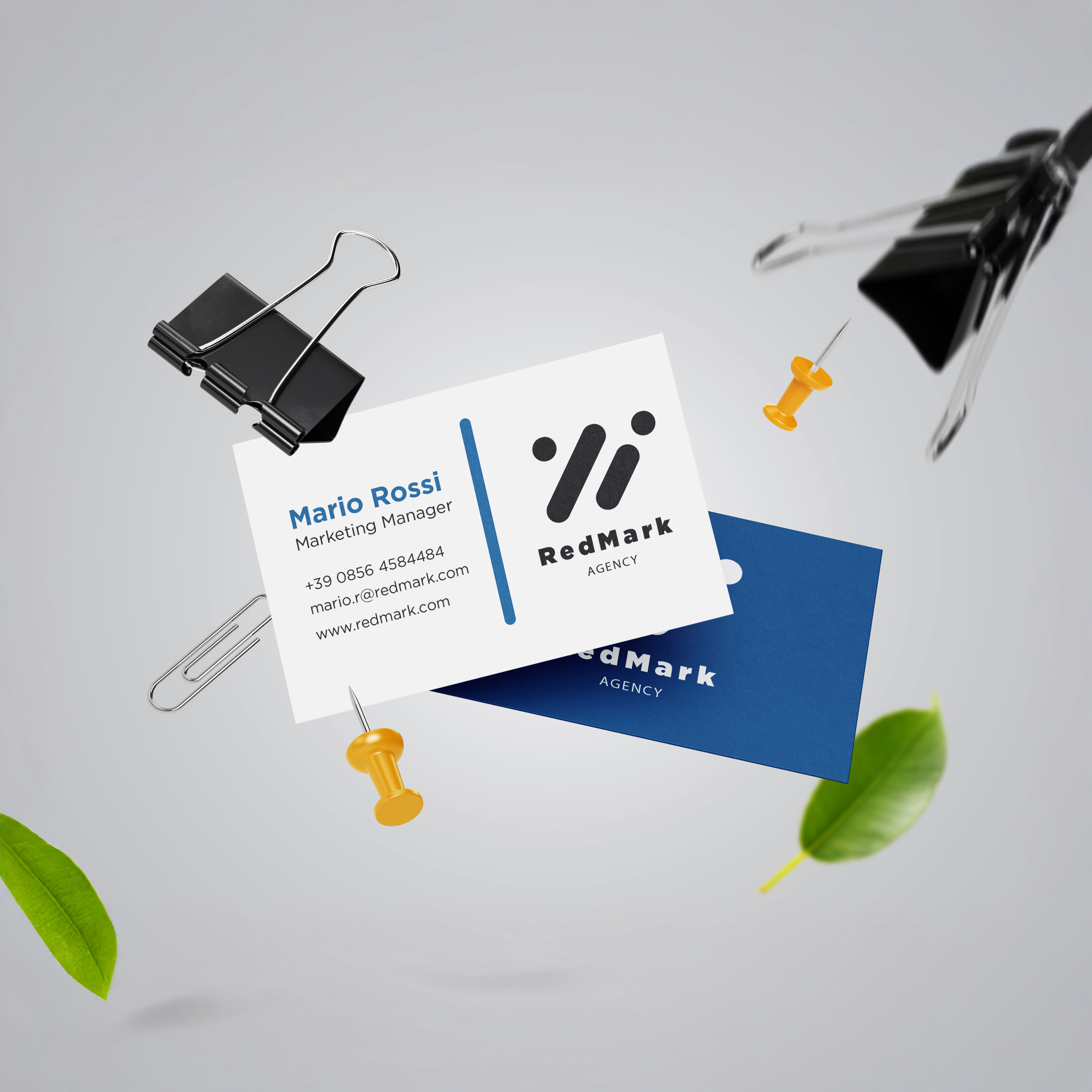cartes de visite