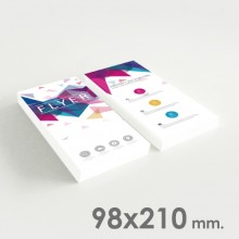 Flyers 9,8 x 21 cm